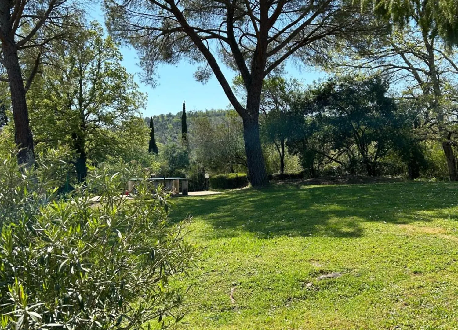 Campo Di Carlo Guest House Sassetta Italy