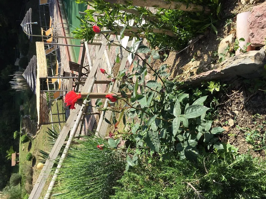 Campo Di Carlo Guest House Sassetta 0*,  Italy