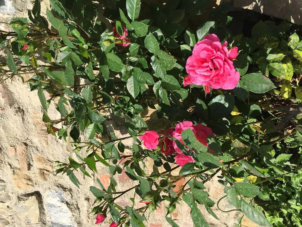 Campo Di Carlo Guest House Sassetta Country house